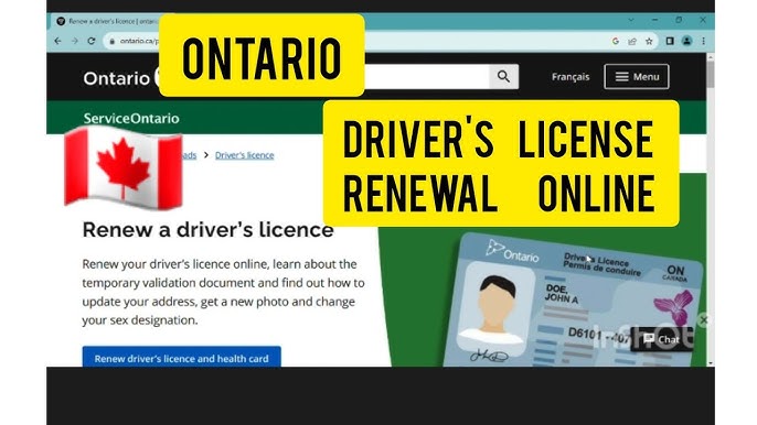 A Complete Guide to Ontario Driver's License Renewal