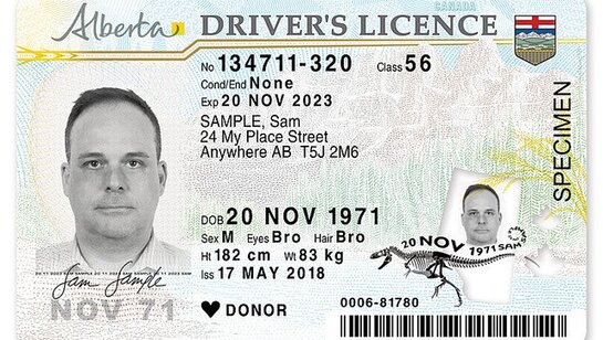 Alberta Class 4 License