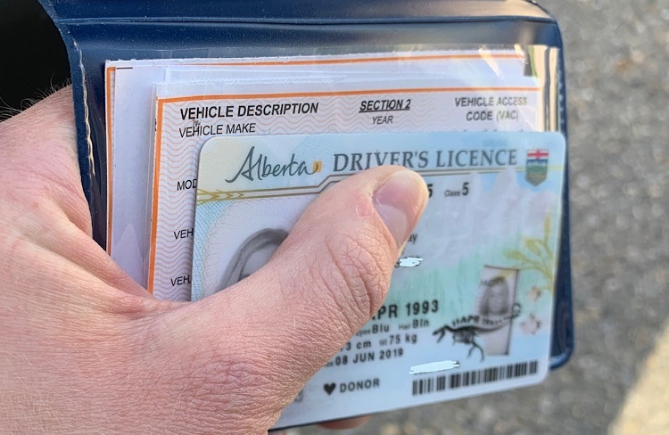 the Alberta Driver's License