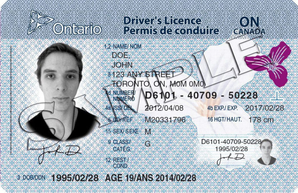 Driving License in Ontario