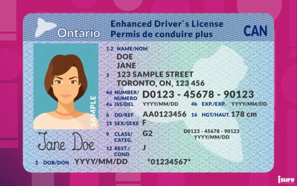 How to Change the Address on Your Ontario Driving License