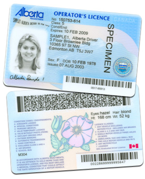 an Alberta Driving License