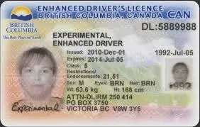 A Driving License in British Columbia