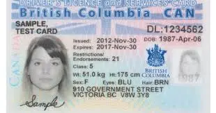 How to Renew Your ICBC Driving License