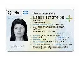 Quebec Driving License Process