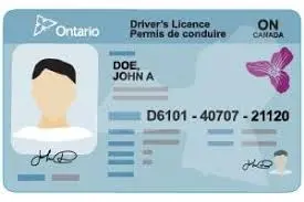 How to Change the Address on Your Ontario Driving License