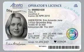 Driving License in Alberta