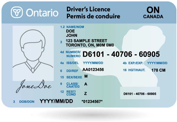 the Ontario Driving License