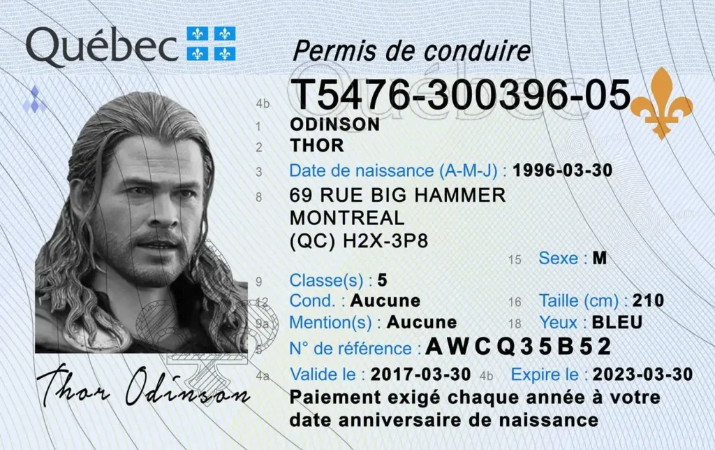 A Driving License in Montreal