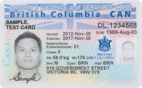 Canada Driving License Types